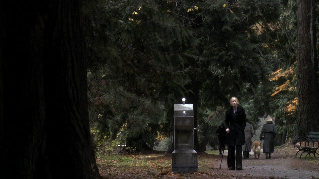 Сериал Каприка (2009) 1 сезон 13 эпизод