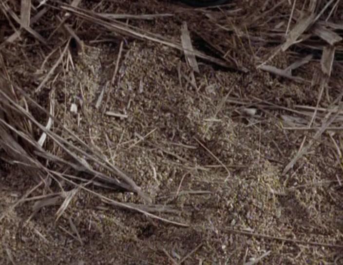 Сериал Зена – королева воинов (1995) 2 сезон 14 эпизод