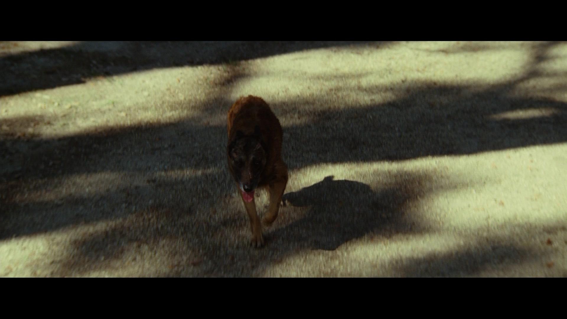 Фильм Джона Хекс (2010)