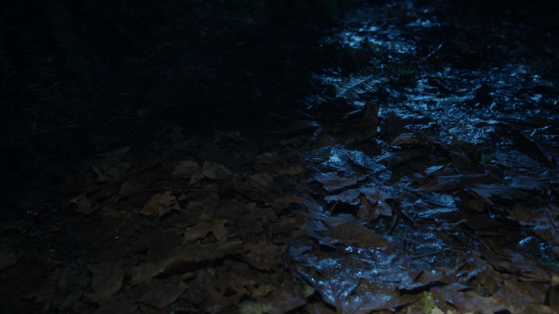 Сериал Засланец из космоса (2021) 2 сезон 9 эпизод