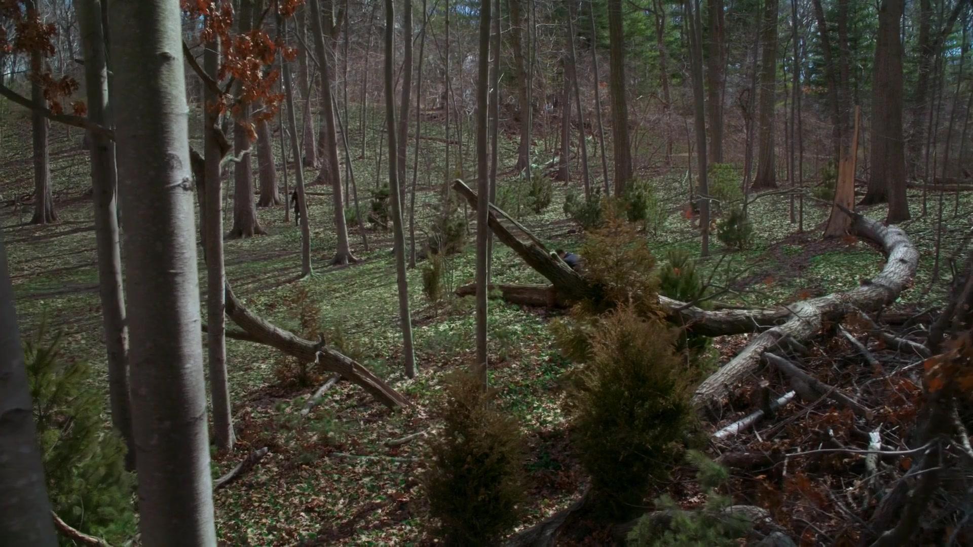 Сериал Элементарно (2012) 4 сезон 21 эпизод