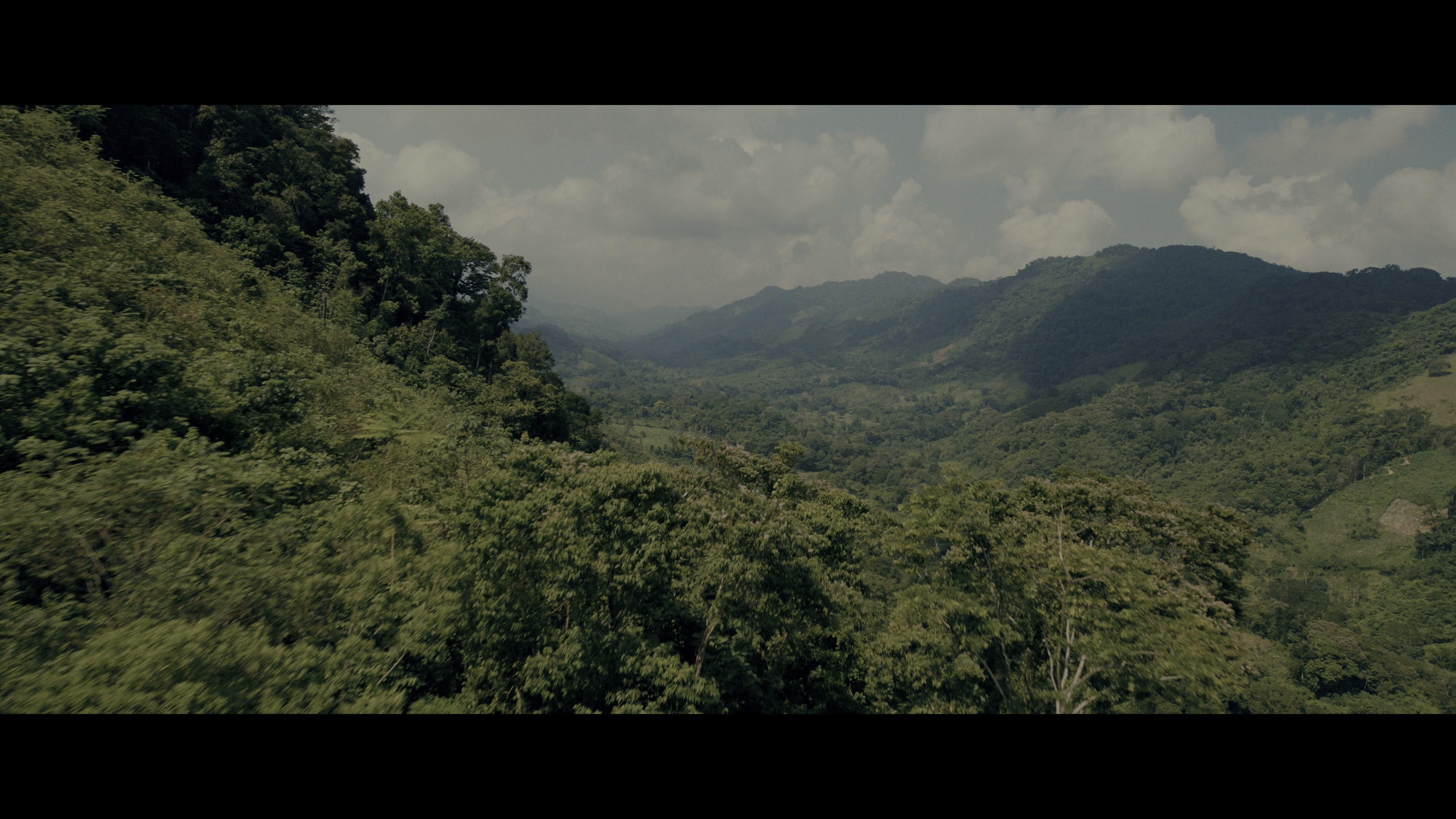 Фильм Мадам Паутина (2024)