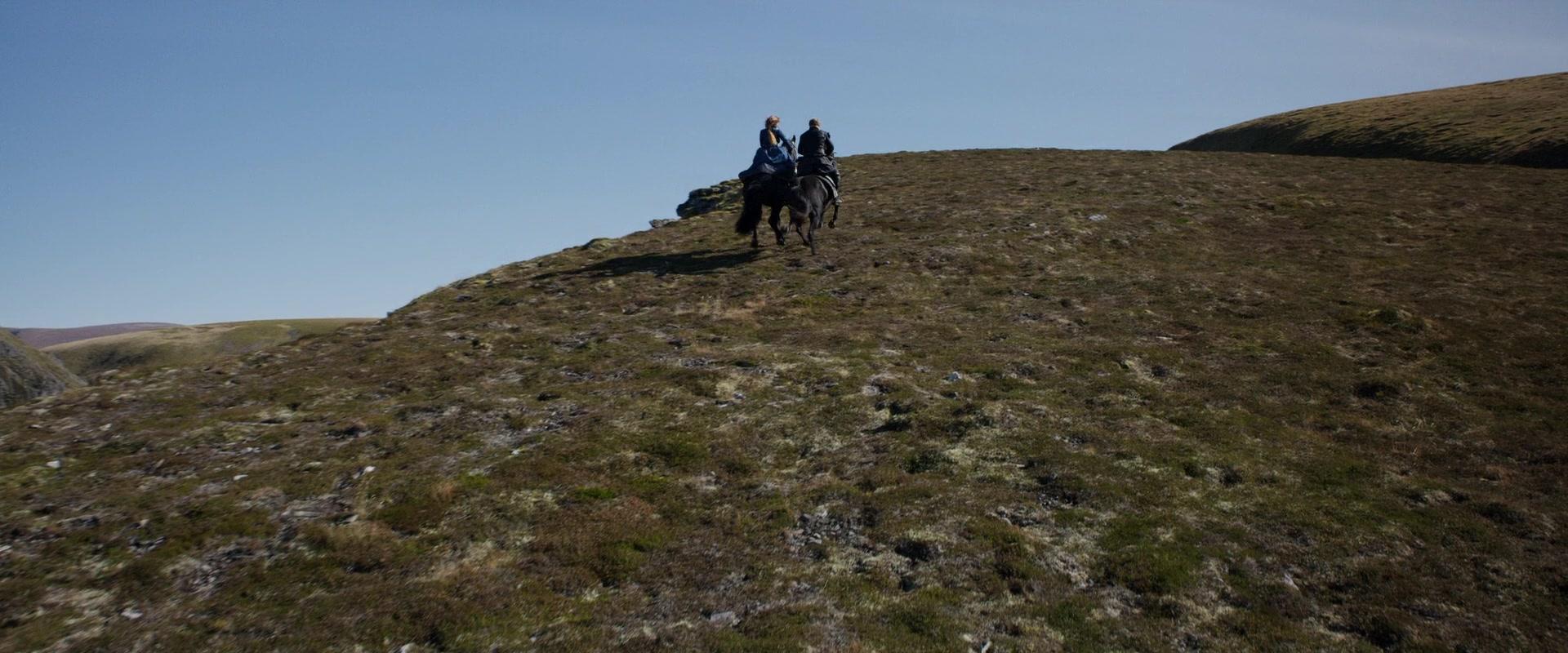 Фильм Две королевы (2018)