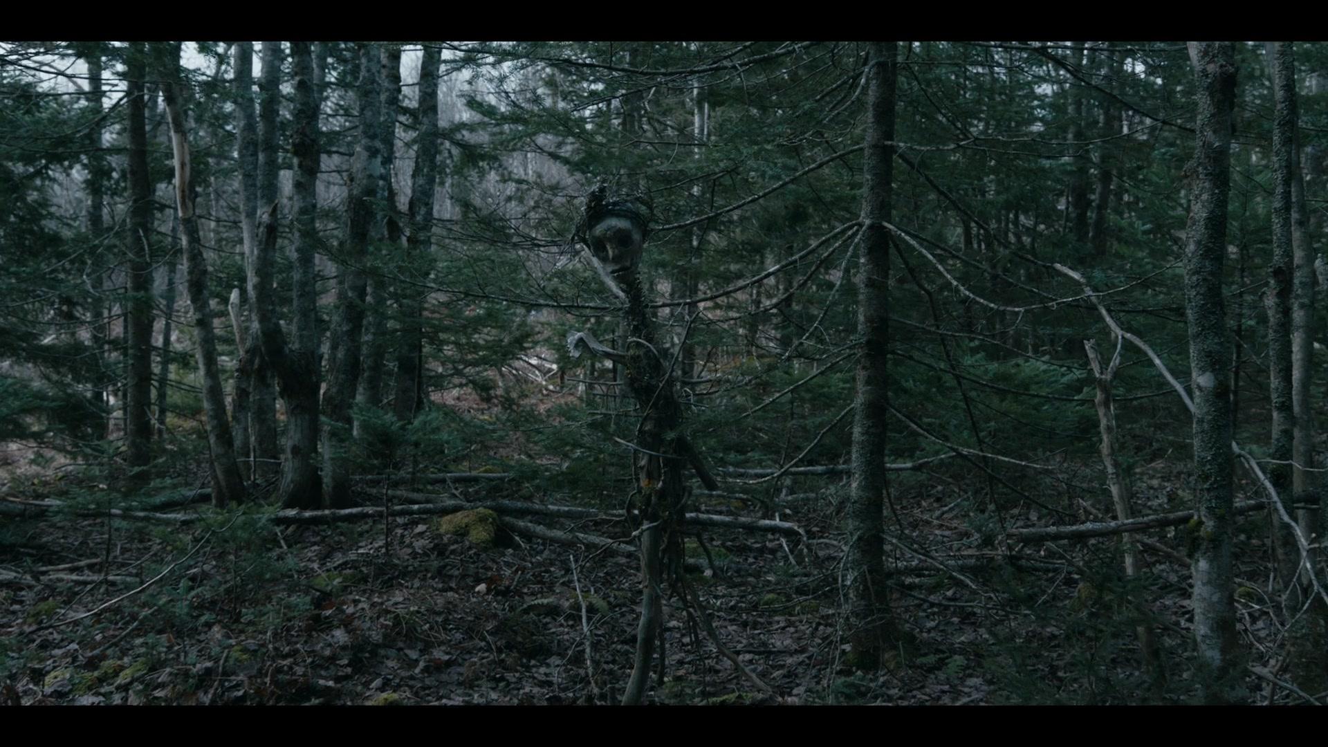 Сериал Извне (2022) 3 сезон 1 эпизод