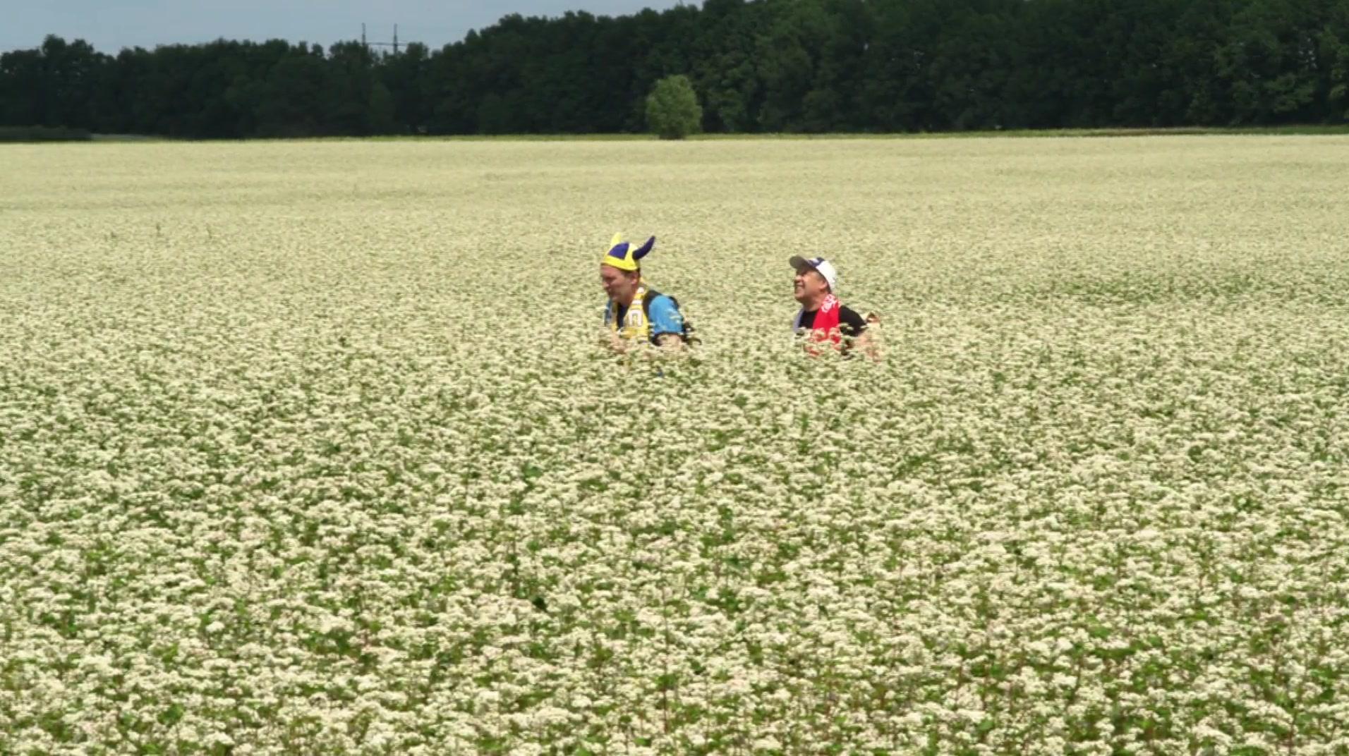 Сериал Сваты (2008) 6 сезон 6 эпизод