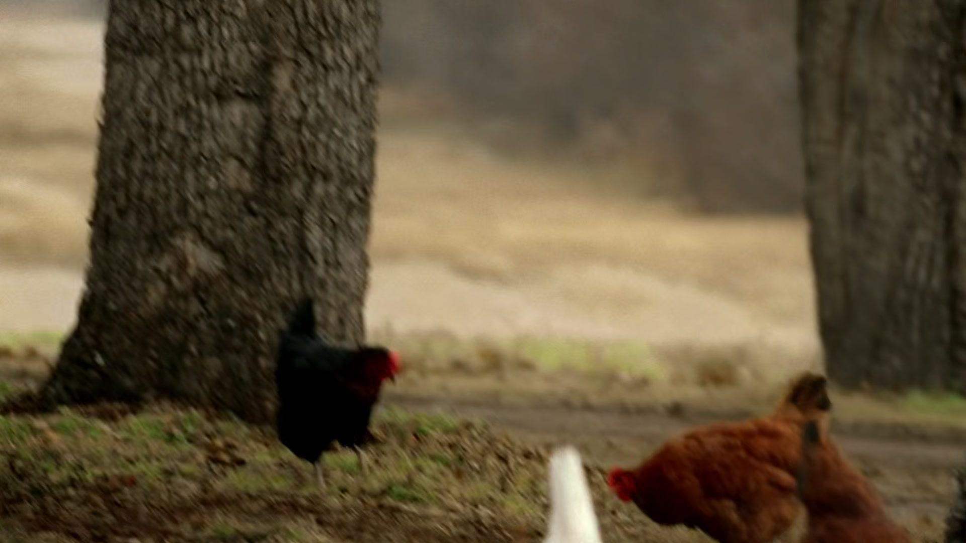 Сериал Побег (2005) 2 сезон 19 эпизод