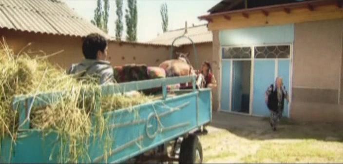 Фильм В поисках себя (2009)