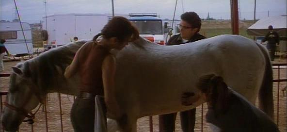 Фильм Стреляй! (1993)