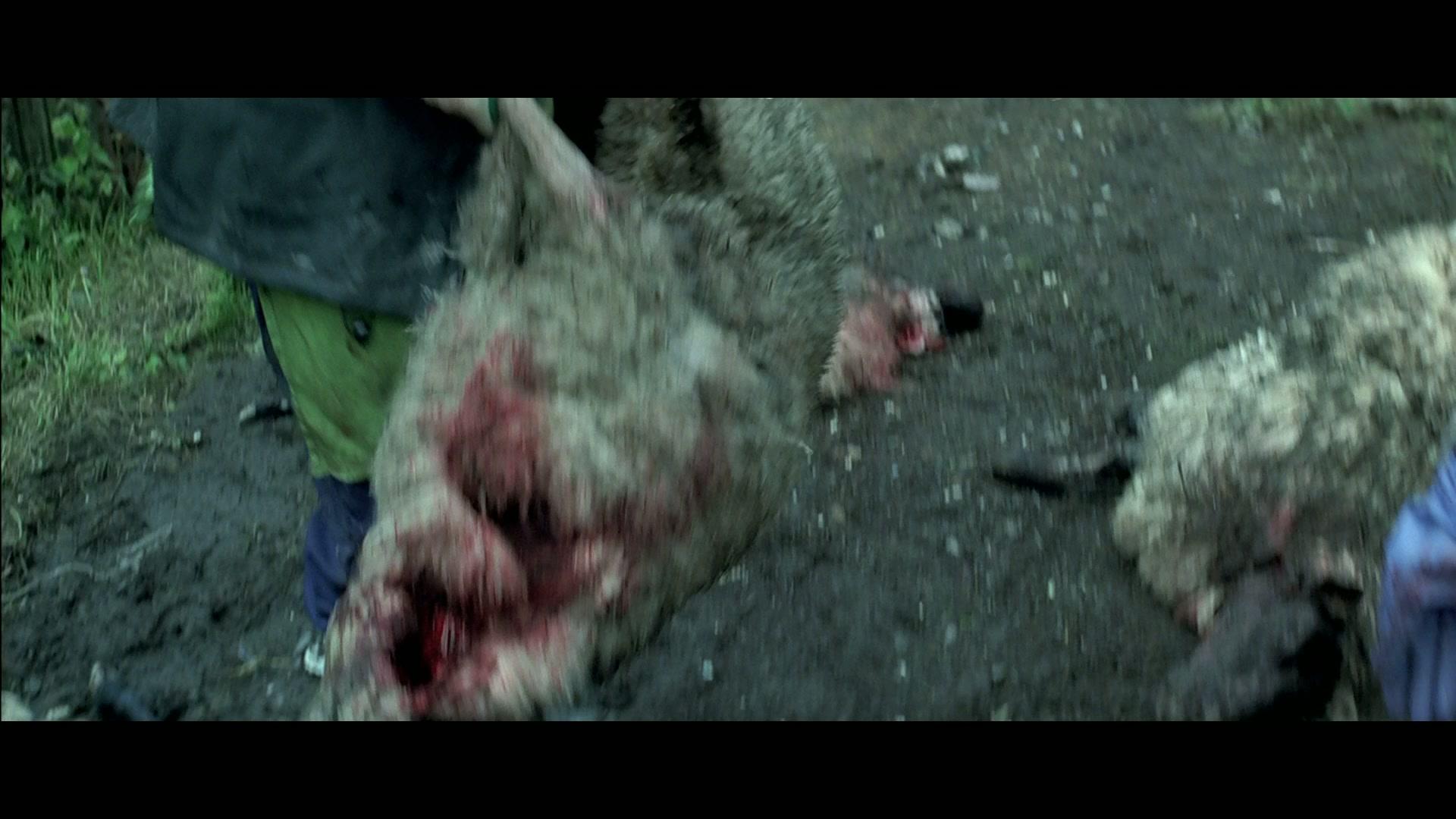 Фильм Дороти Миллс (2008)