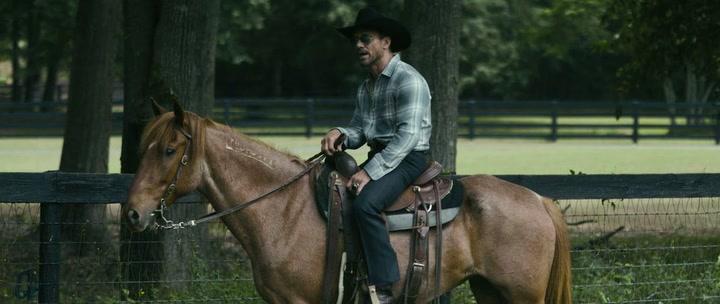 Сериал Король Талсы (2022) 3 сезон 5 эпизод