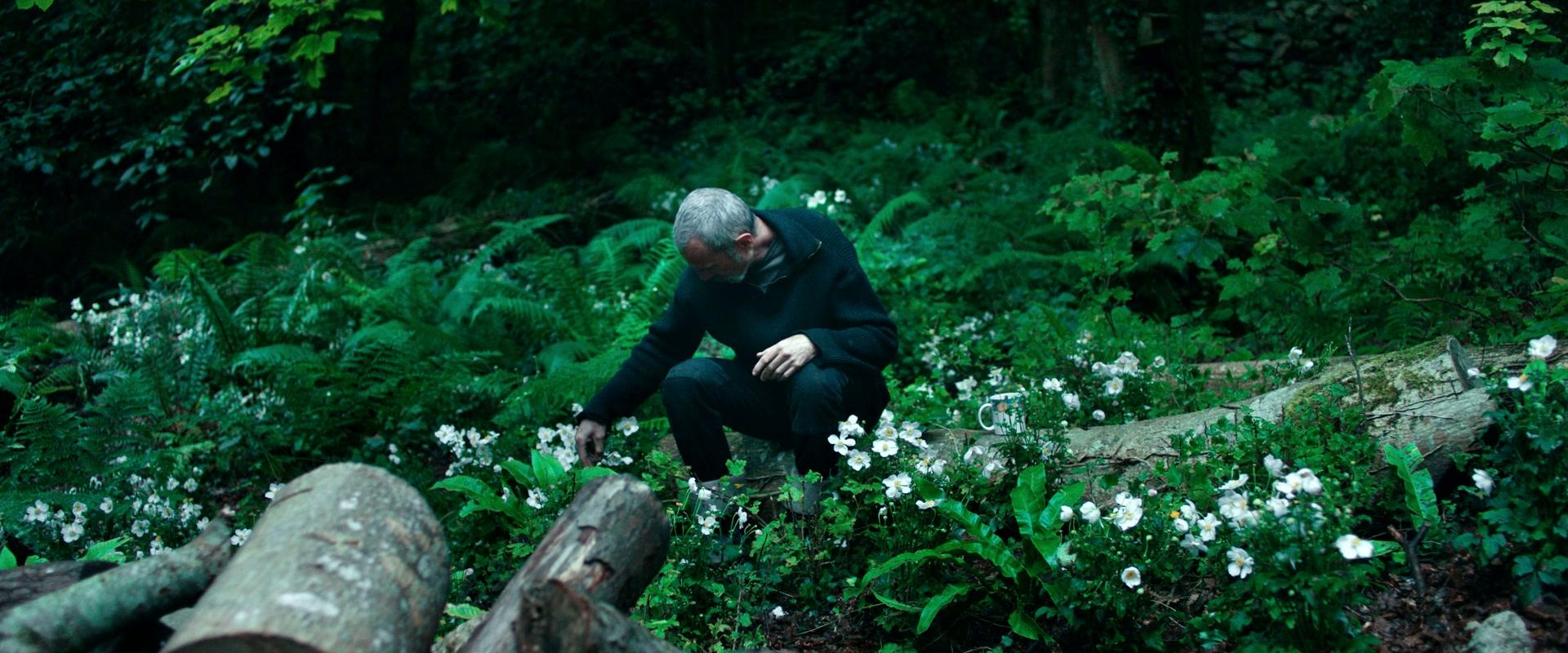 Фильм Анемона (2025)