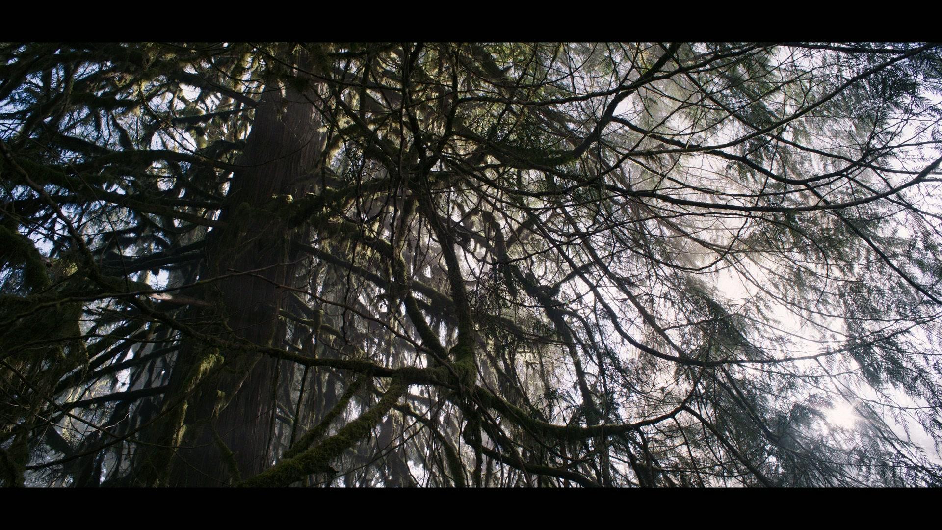 Фильм Затерянное место (2024)