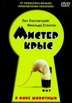 Фильм Мистер крыс (2000)