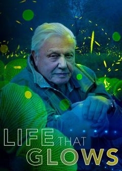 Живой свет с Дэвидом Аттенборо (2016)